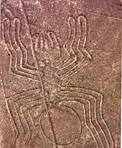 La Araña - Líneas de Nazca