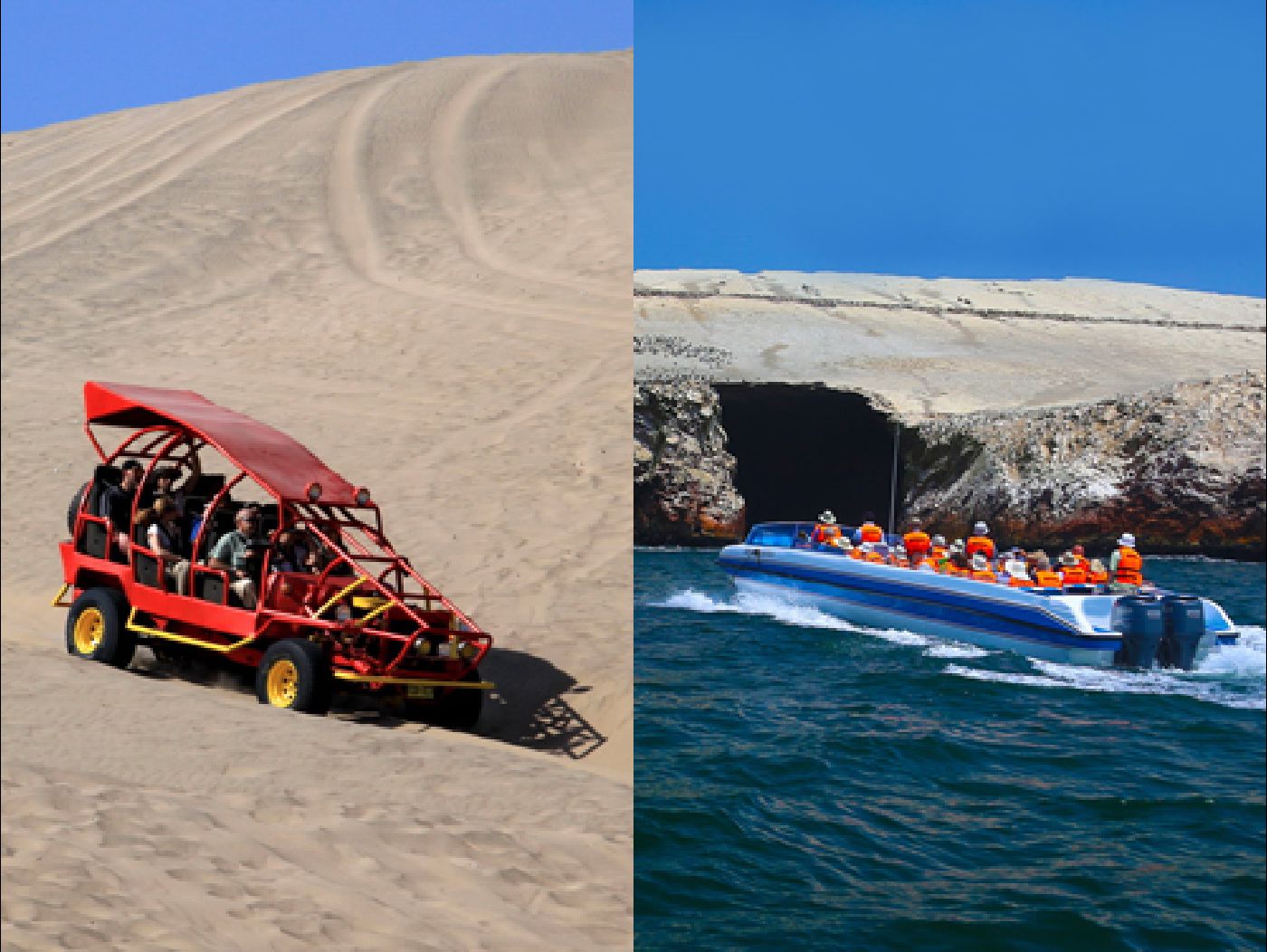 Full day Paracas Ica