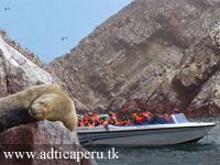 Excursión a las Islas Ballestas