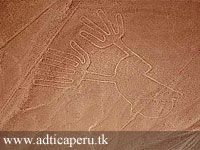 Excursión a las líneas de Nazca