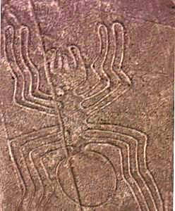 La Araña - Líneas de Nazca